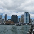 33 Auckland skyline